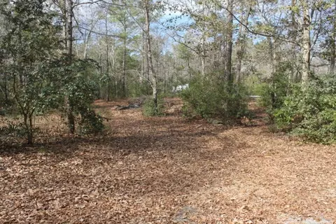 57 Burning Tree Dr, Hampstead, NC 28443 photo 5