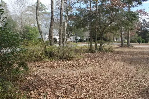 57 Burning Tree Dr, Hampstead, NC 28443 photo 4