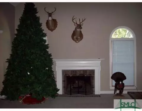 249 Hawk Hammock Dr, Springfield, GA 31329 photo 5