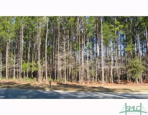 4 Cobham Draw, Pooler, GA 31322 photo 1