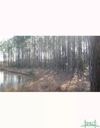 4 Cobham Draw, Pooler, GA 31322 photo 2