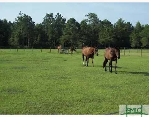 658 Zipperer Rd, Guyton, GA 31312 photo 7