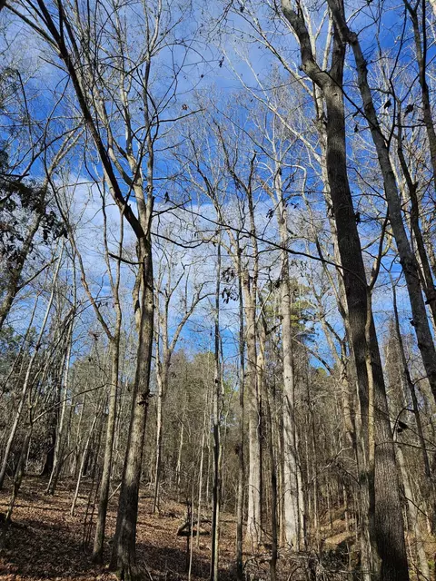 lot4 Elberton Hwy, Lincolnton, GA 30817