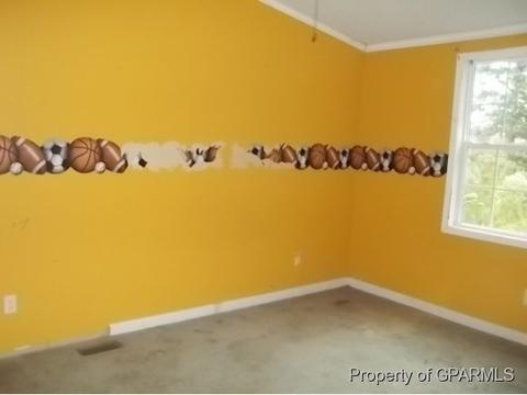 103 Union Chapel Rd, Chocowinity, NC 27817 photo 10