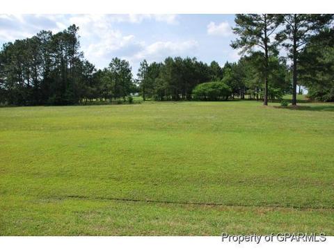 17 Beaver Creek Rd, Deep Run, NC 28525