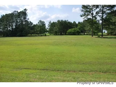 1 Beaver Creek Rd, Deep Run, NC 28525