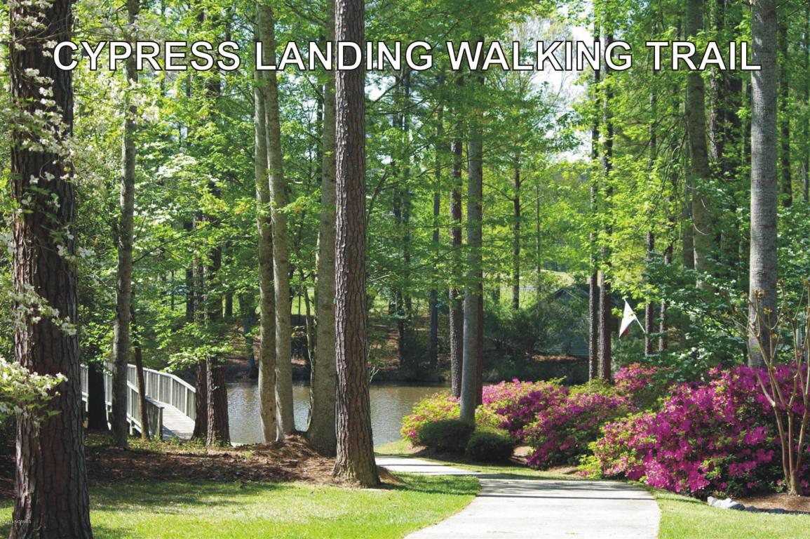 102 Charles Ct, Chocowinity, NC 27817 photo 45