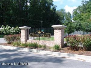 106 Dean Dr, Chocowinity, NC 27817 photo 22