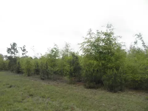 00 Highway 23, Waynesboro, GA 30830