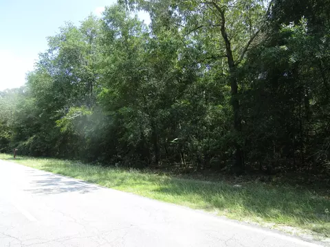 1436 Hephzibah Mcbean Rd, Hephzibah, GA 30815