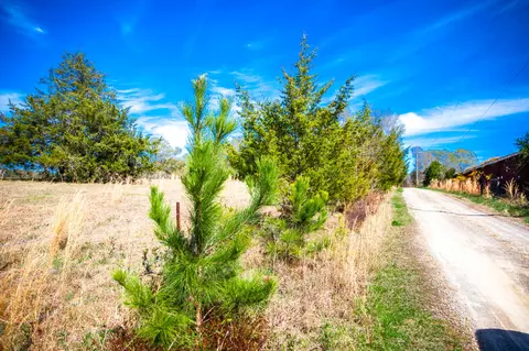 lot9 Mistletoe Rd, Appling, GA 30802 photo 3