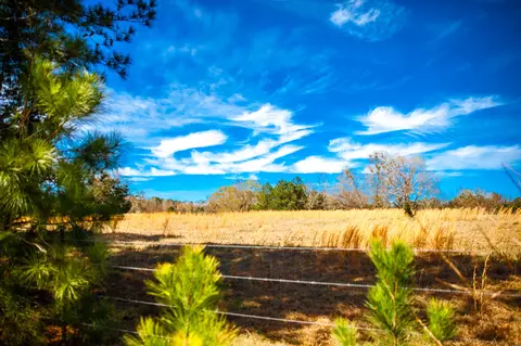 lot9 Mistletoe Rd, Appling, GA 30802 photo 5