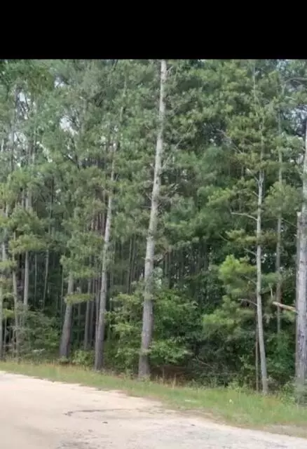 0 Bermuda Hill Hl, Trenton, SC 29847