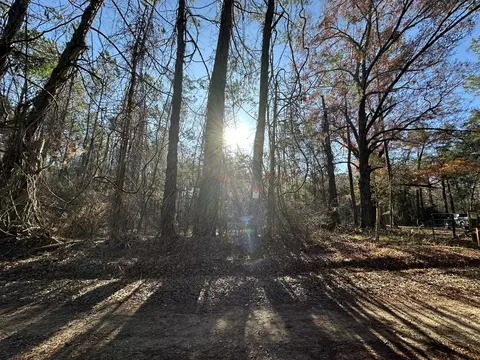 lot5 Saggus Rd, Washington, GA 30673