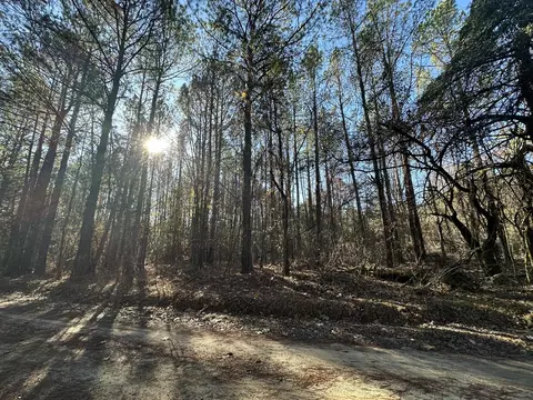 lot6 Saggus Rd, Washington, GA 30673