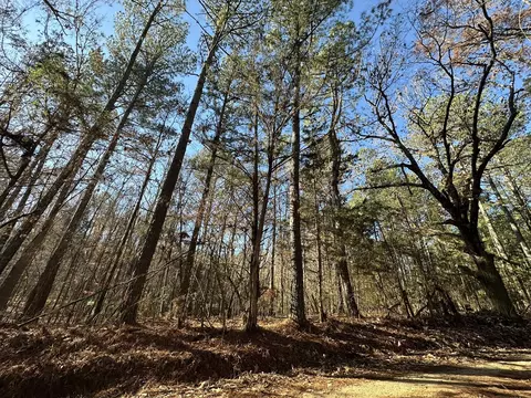 lot7 Saggus Rd, Washington, GA 30673