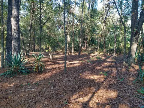 3801 Clanton Rd, Augusta, GA 30906 photo 27