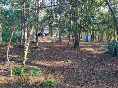 3801 Clanton Rd, Augusta, GA 30906 photo 28