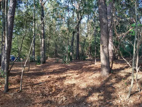 3801 Clanton Rd, Augusta, GA 30906 photo 26