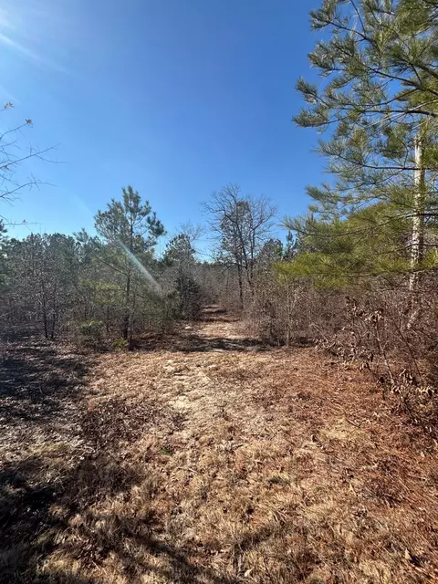 4 County Line Rd, Mitchell, GA 30820 photo 3
