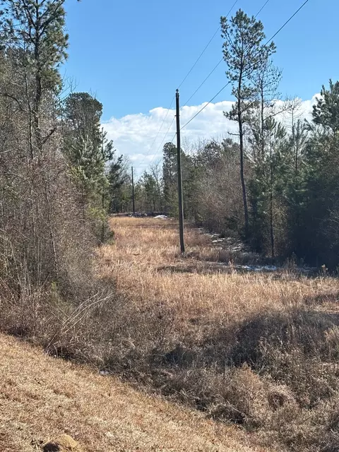 4 County Line Rd, Mitchell, GA 30820 photo 2