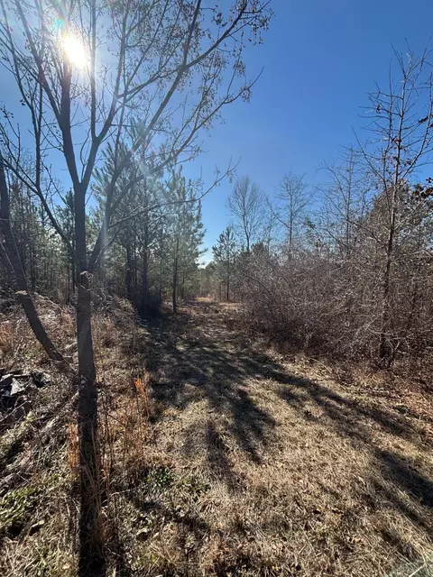 4 County Line Rd, Mitchell, GA 30820