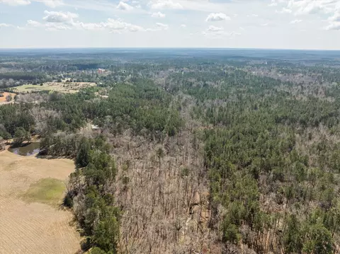 3350 Lloyd Paschal Rd, Appling, GA 30802 photo 14