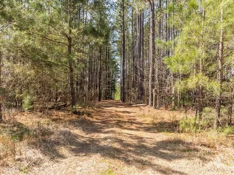 3350 Lloyd Paschal Rd, Appling, GA 30802
