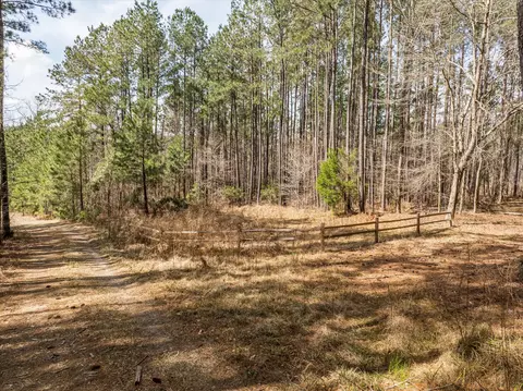 3350 Lloyd Paschal Rd, Appling, GA 30802 photo 2