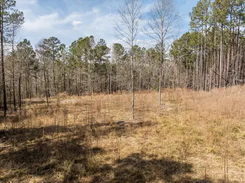 3350 Lloyd Paschal Rd, Appling, GA 30802 photo 10