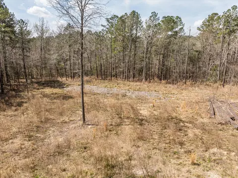 3350 Lloyd Paschal Rd, Appling, GA 30802 photo 8