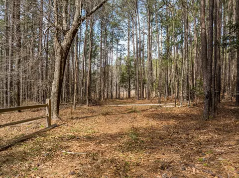 3350 Lloyd Paschal Rd, Appling, GA 30802 photo 3