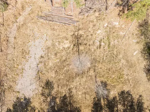 3350 Lloyd Paschal Rd, Appling, GA 30802 photo 6