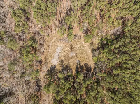 3350 Lloyd Paschal Rd, Appling, GA 30802 photo 16