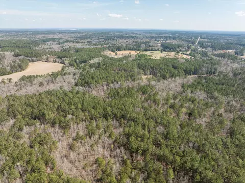 3350 Lloyd Paschal Rd, Appling, GA 30802 photo 13