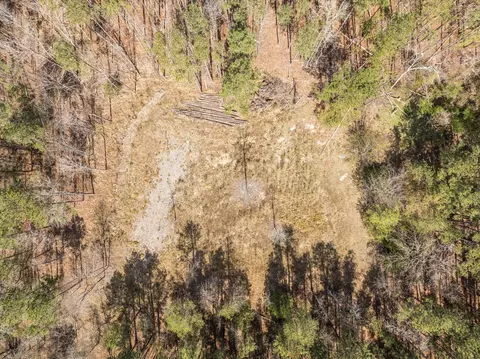 3350 Lloyd Paschal Rd, Appling, GA 30802 photo 7