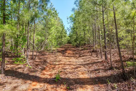 0 Whitaker Rd, Dearing, GA 30808 photo 27