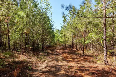 0 Whitaker Rd, Dearing, GA 30808 photo 26