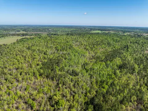 0 Whitaker Rd, Dearing, GA 30808 photo 15