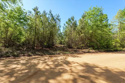 0 Whitaker Rd, Dearing, GA 30808 photo 25