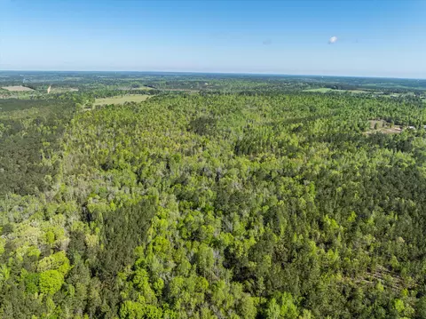 0 Whitaker Rd, Dearing, GA 30808 photo 17