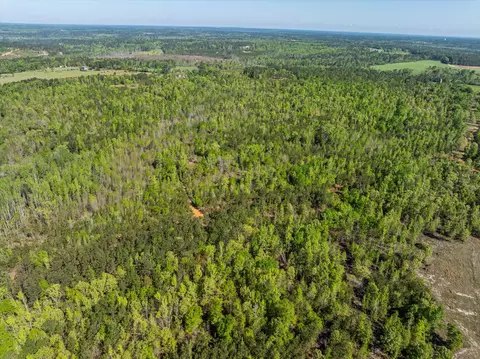 0 Whitaker Rd, Dearing, GA 30808 photo 19