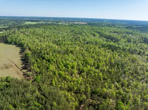 0 Whitaker Rd, Dearing, GA 30808 photo 14