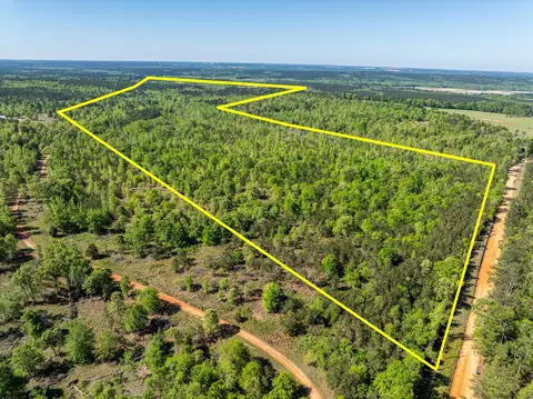0 Whitaker Rd, Dearing, GA 30808 photo 22