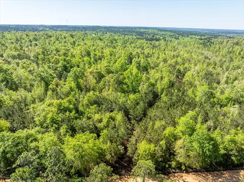 0 Whitaker Rd, Dearing, GA 30808 photo 3