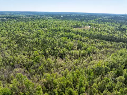 0 Whitaker Rd, Dearing, GA 30808 photo 13