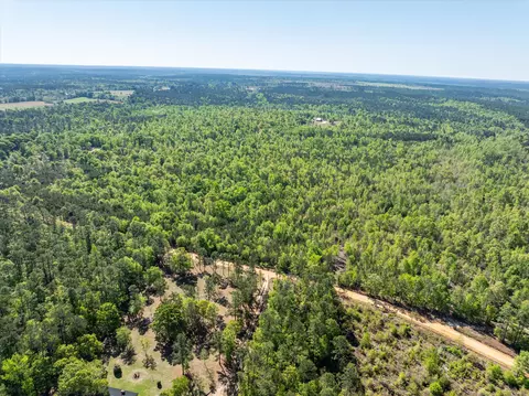 0 Whitaker Rd, Dearing, GA 30808 photo 10
