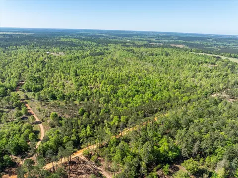 0 Whitaker Rd, Dearing, GA 30808 photo 8