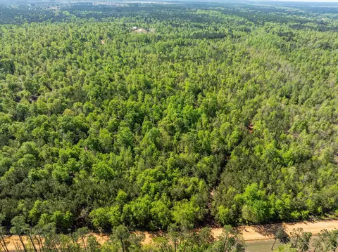 0 Whitaker Rd, Dearing, GA 30808 photo 11