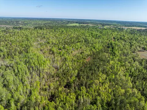 0 Whitaker Rd, Dearing, GA 30808 photo 5